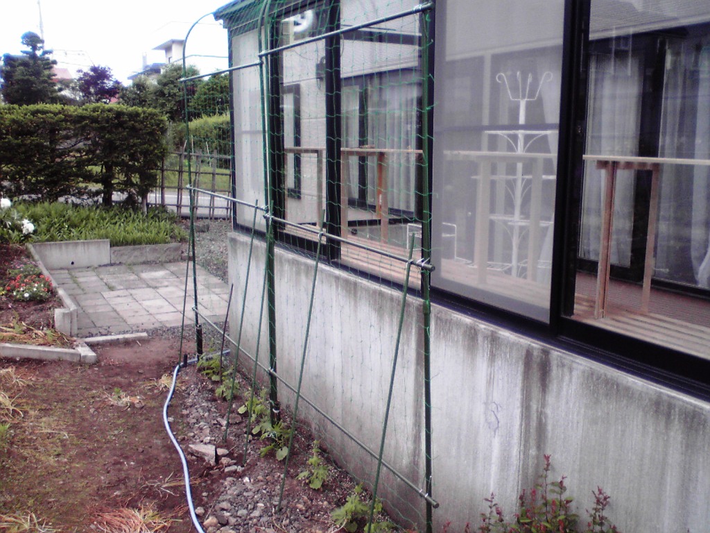 f0057955_1119433.jpg