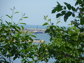 e0004756_21422229.jpg