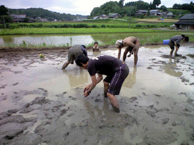 f0201557_1145589.jpg