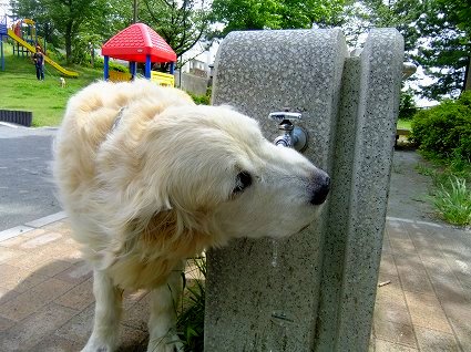 c0097558_0354143.jpg