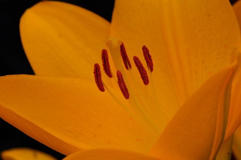 c0101558_228082.jpg