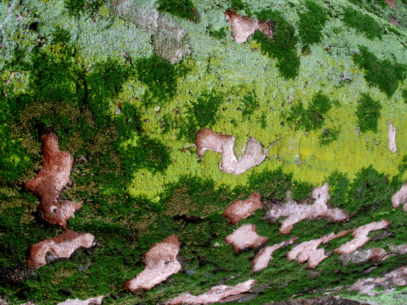 e0172160_048420.jpg
