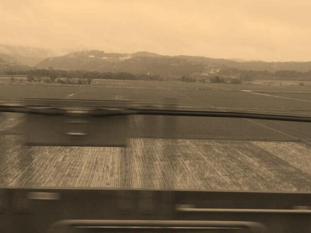 c0050264_905594.jpg