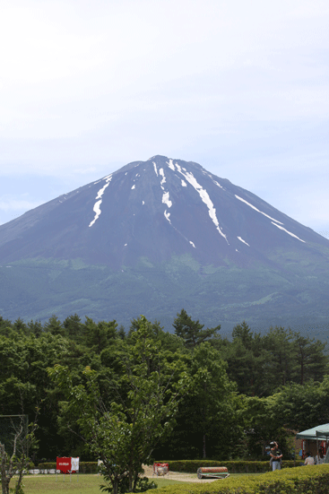f0107364_8161777.gif