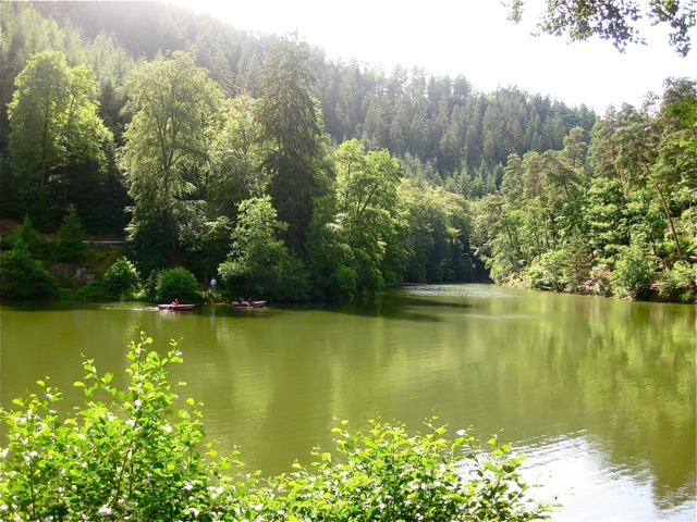 c0194065_2147418.jpg