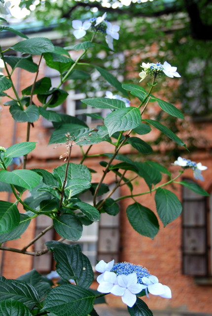 b0174068_22471068.jpg