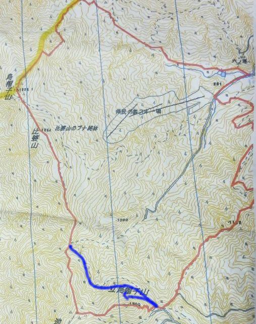 c0042869_2225155.jpg