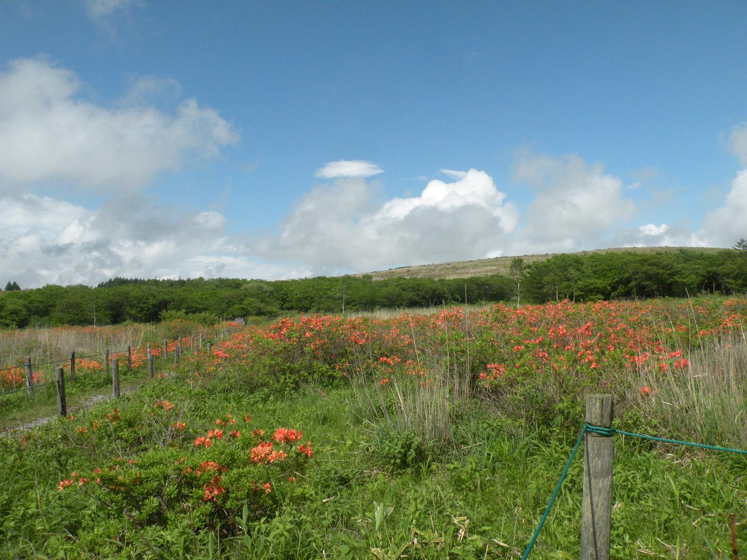 a0053771_7144868.jpg