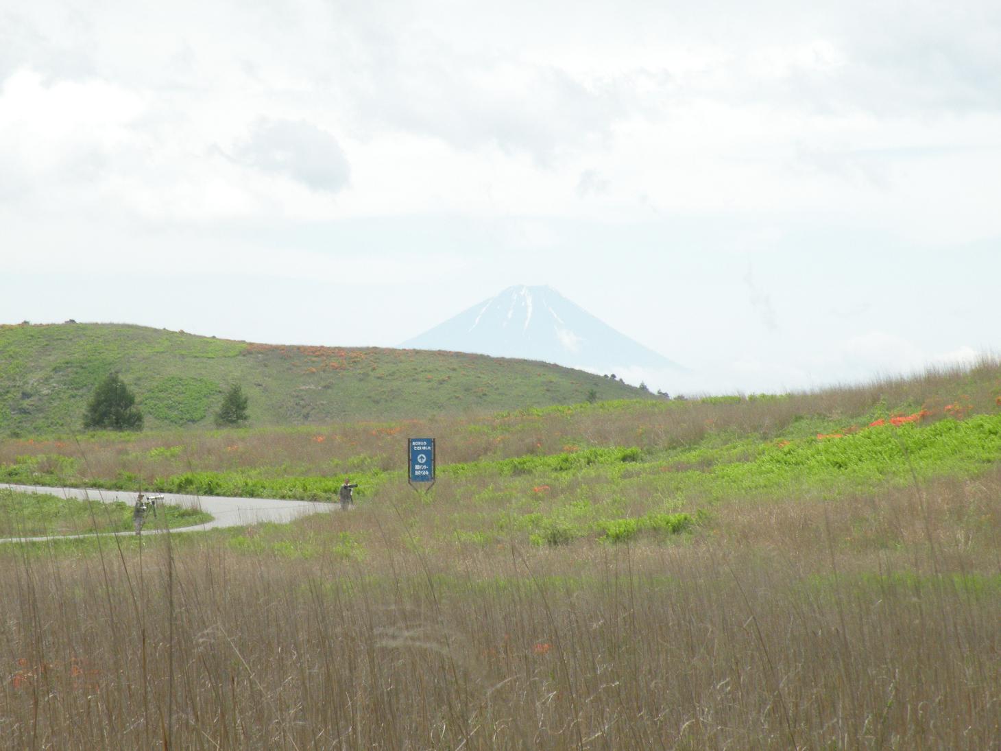 a0053771_7155377.jpg