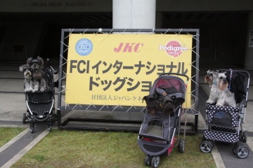 f0155381_16502093.jpg