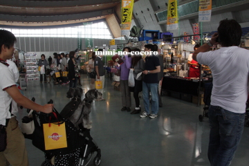 f0155381_1738986.jpg