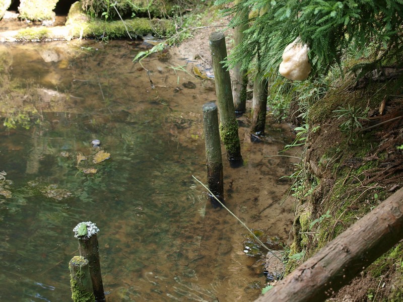 b0108186_1771747.jpg