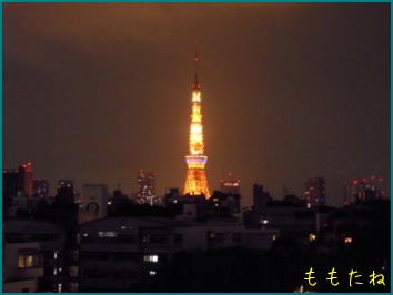 d0044986_2381934.jpg
