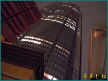 d0044986_2391245.jpg