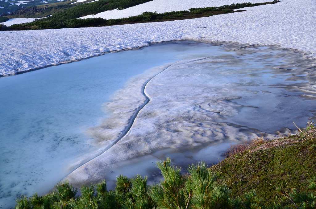 e0130986_2011416.jpg