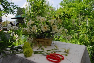 c0169287_1144220.jpg