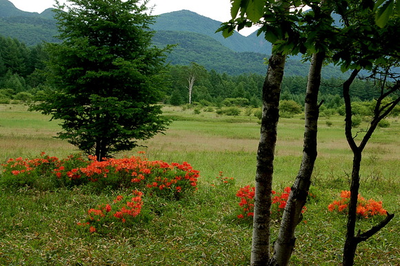 b0203588_18561750.jpg