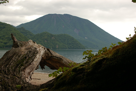 b0203588_1912270.jpg