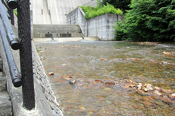 b0169489_12571135.jpg
