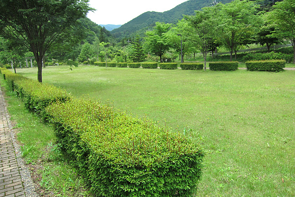 b0169489_1258383.jpg