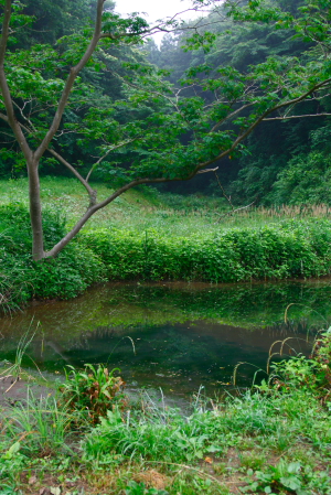 d0133693_21424934.jpg