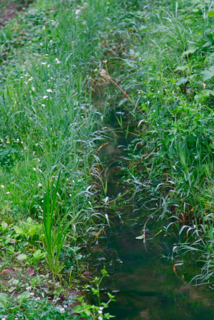 d0133693_2145641.jpg