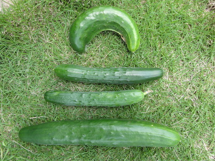 f0209394_003638.jpg