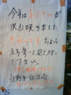 c0018195_062045.jpg