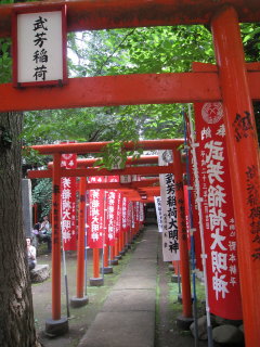 c0172698_1643309.jpg