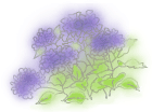 c0074000_2134027.gif