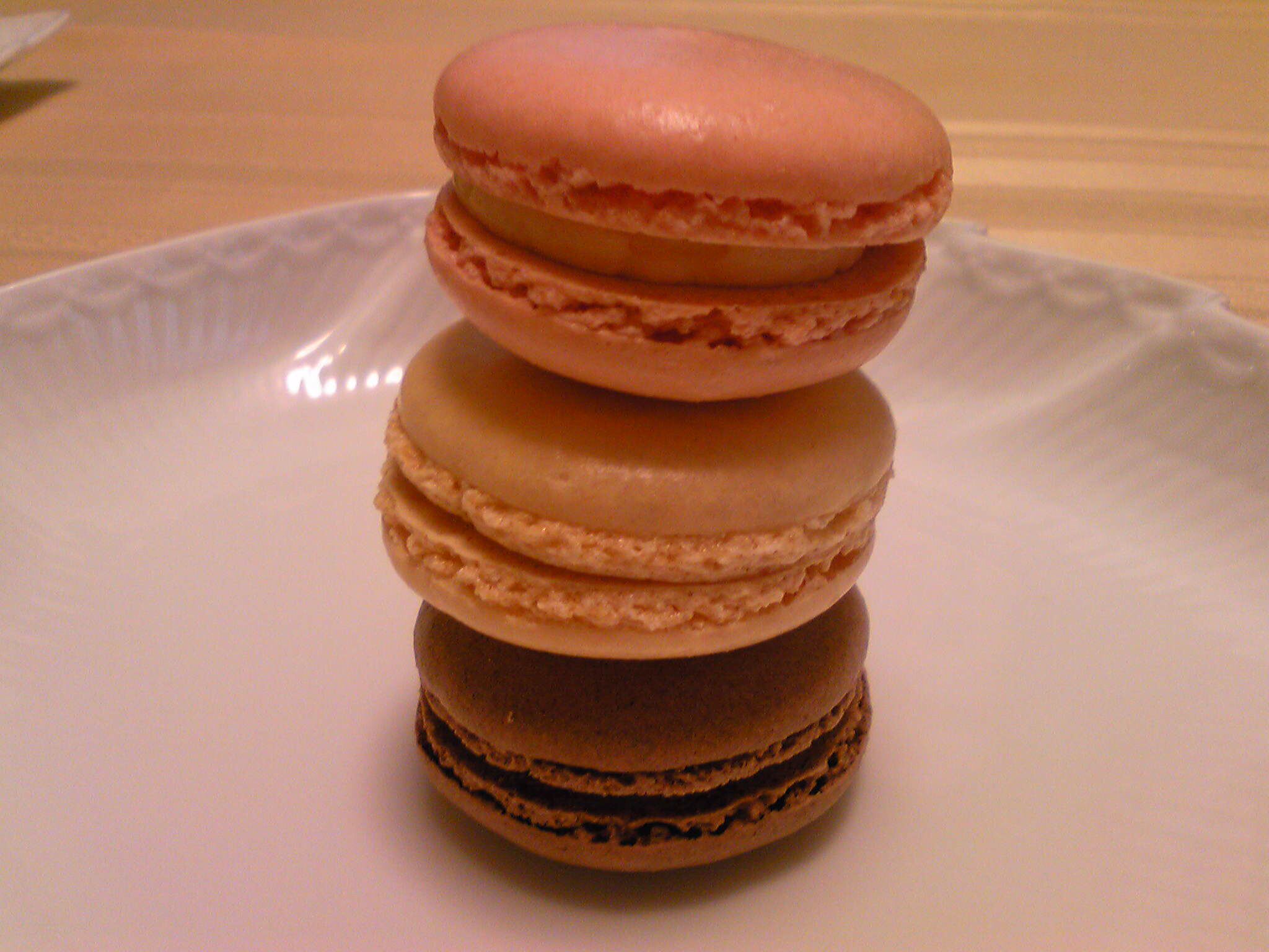 e0204904_2315653.jpg