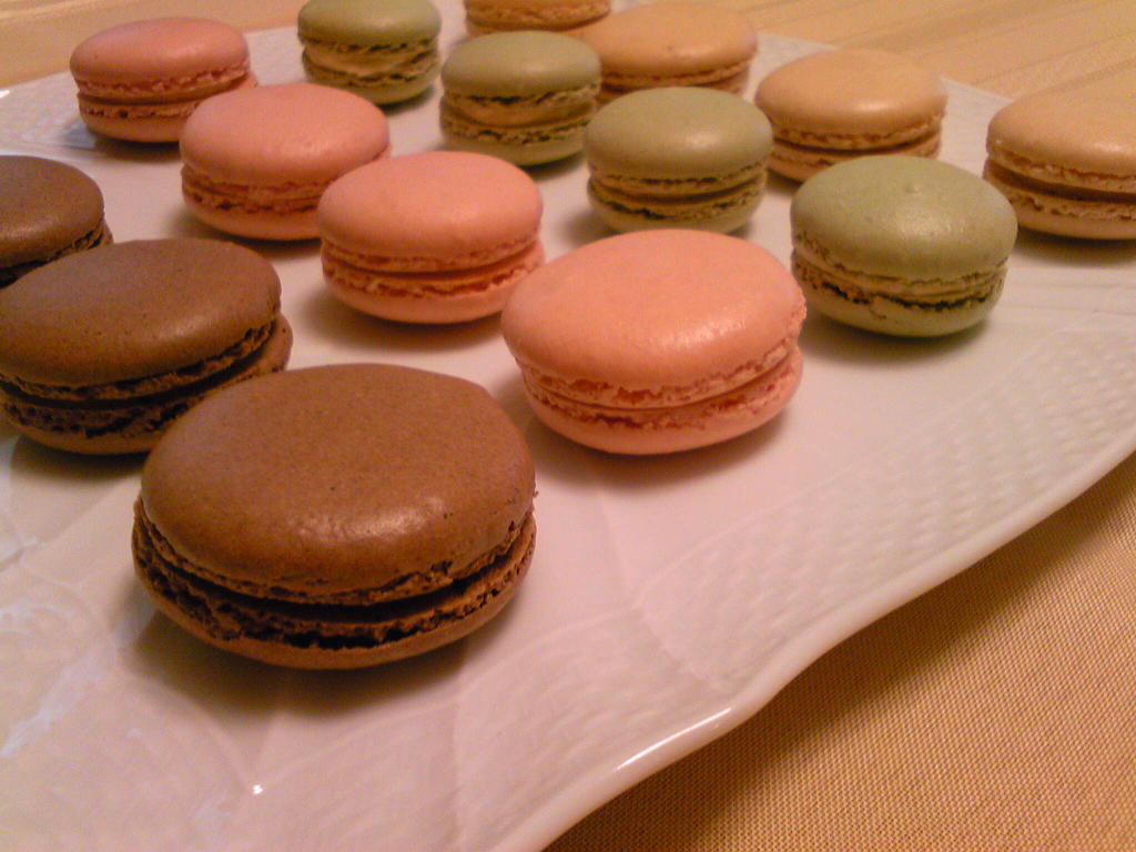 e0204904_2315684.jpg