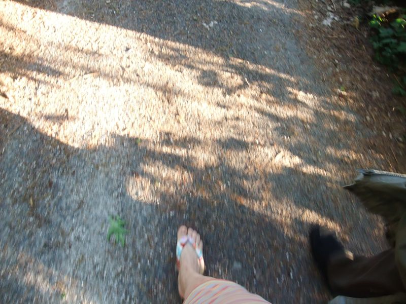 c0167813_15481486.jpg