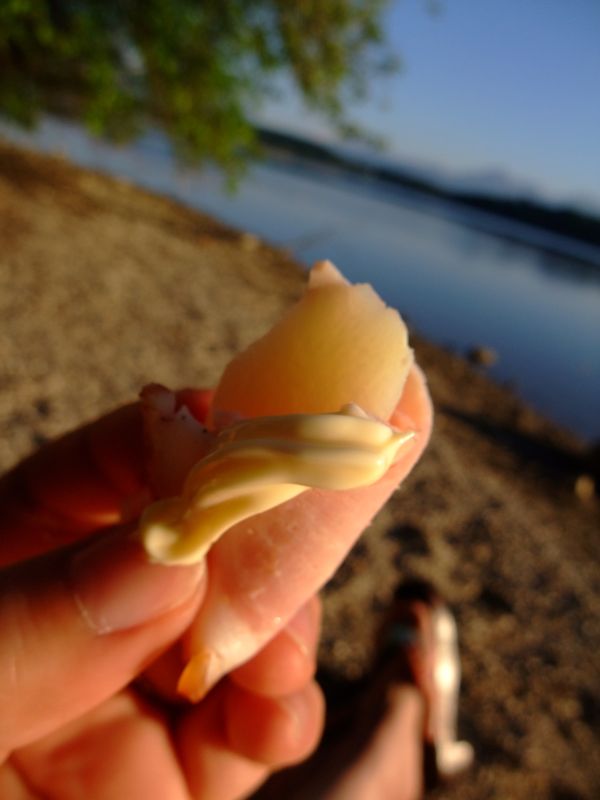 c0167813_15571364.jpg