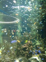 e0008016_0415810.jpg