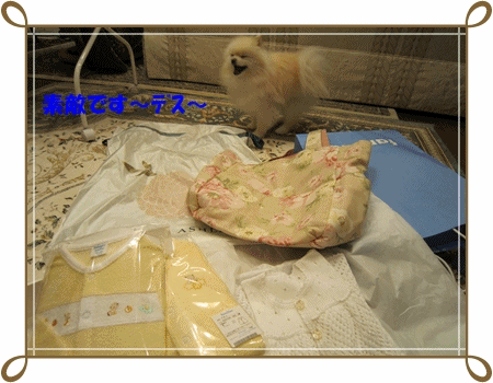 b0167519_925813.gif