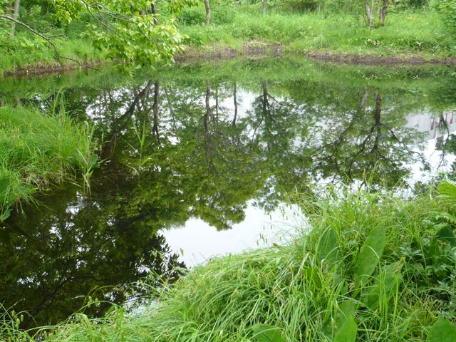 e0111220_1912561.jpg