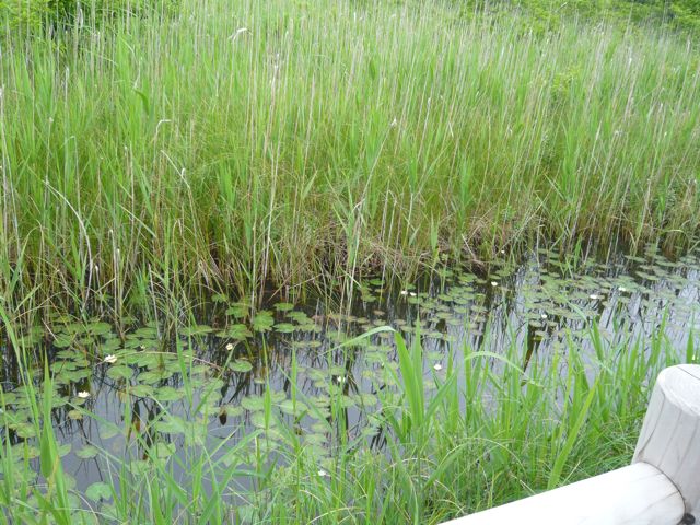e0111220_192579.jpg