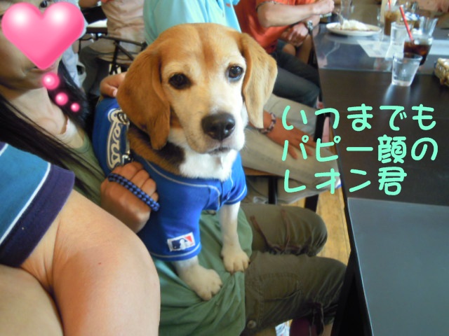 c0166622_12255623.jpg