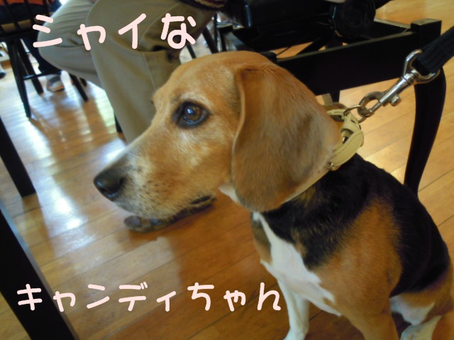 c0166622_12262670.jpg