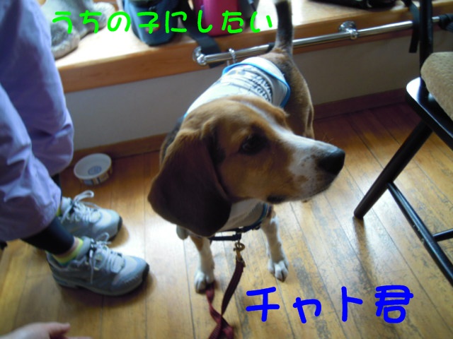 c0166622_12264140.jpg