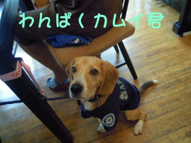 c0166622_1226862.jpg