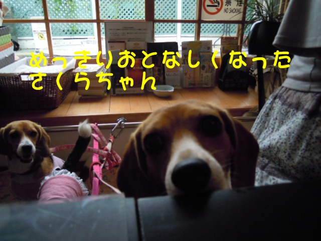 c0166622_12271416.jpg