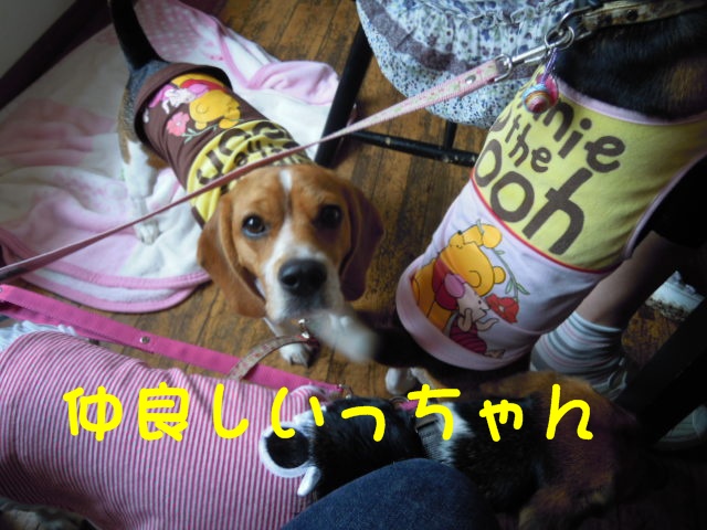 c0166622_1227466.jpg