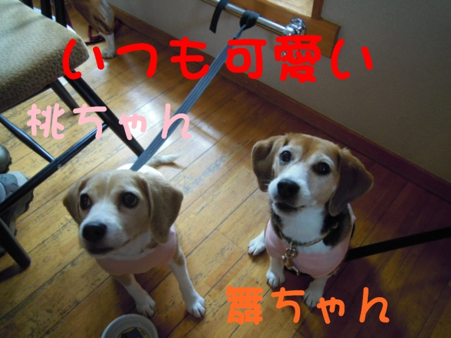 c0166622_12285995.jpg