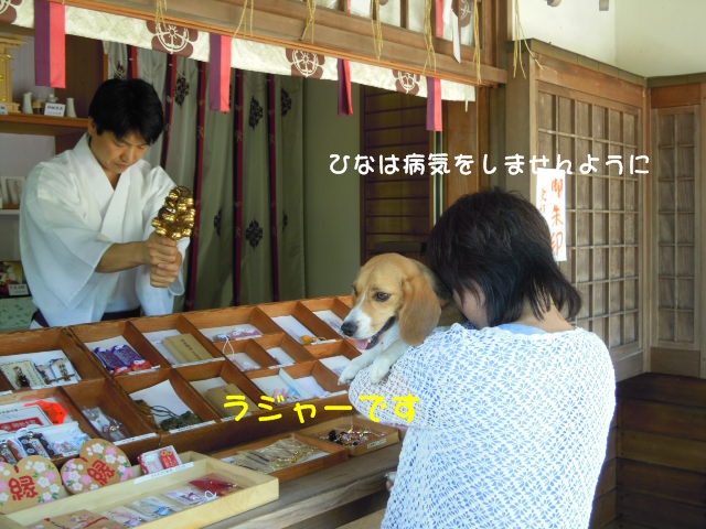 c0166622_12325835.jpg