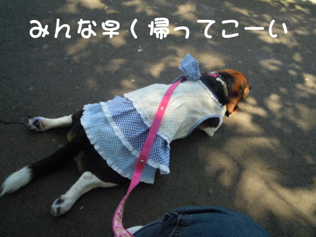 c0166622_12335231.jpg