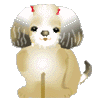 a0206332_6515050.gif