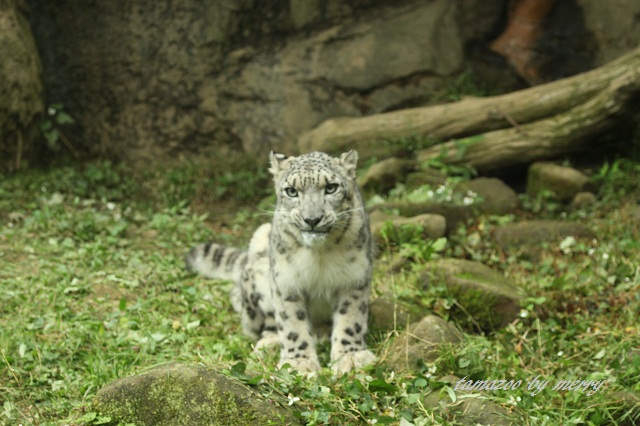 a0207736_17415138.jpg