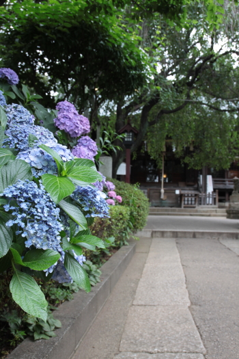 b0006537_16291742.jpg